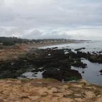 Cambria_0115 (November 04, 2017)